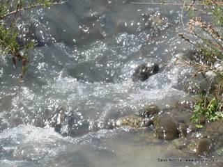 Torrente Saracena